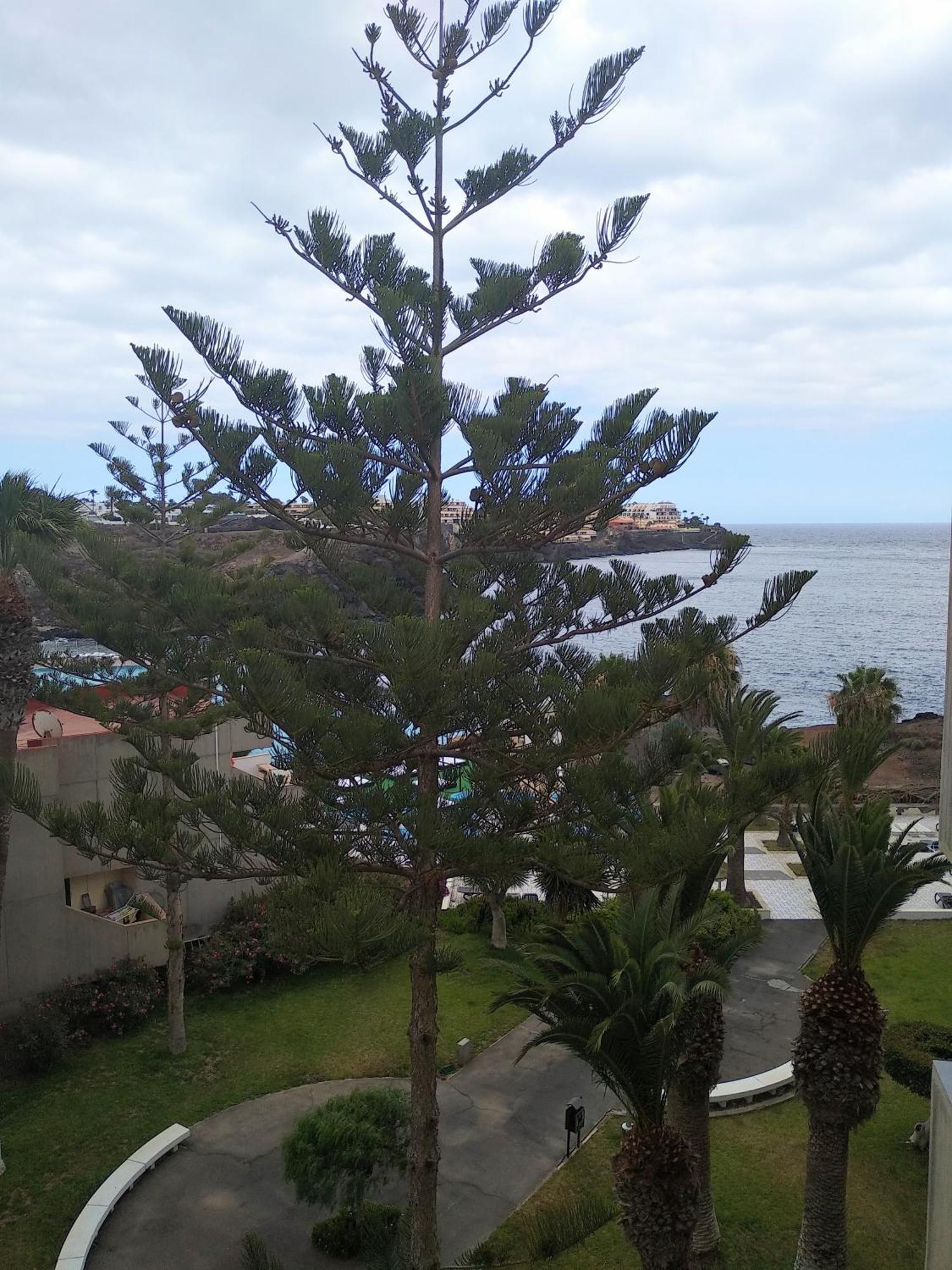 Garden View Apartment In Las Galletas Arona (Tenerife) Exterior foto