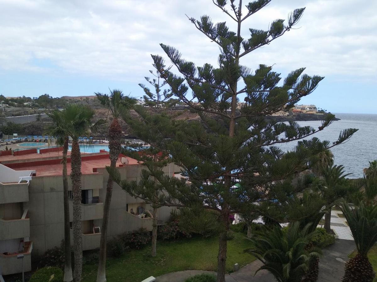 Garden View Apartment In Las Galletas Arona (Tenerife) Exterior foto